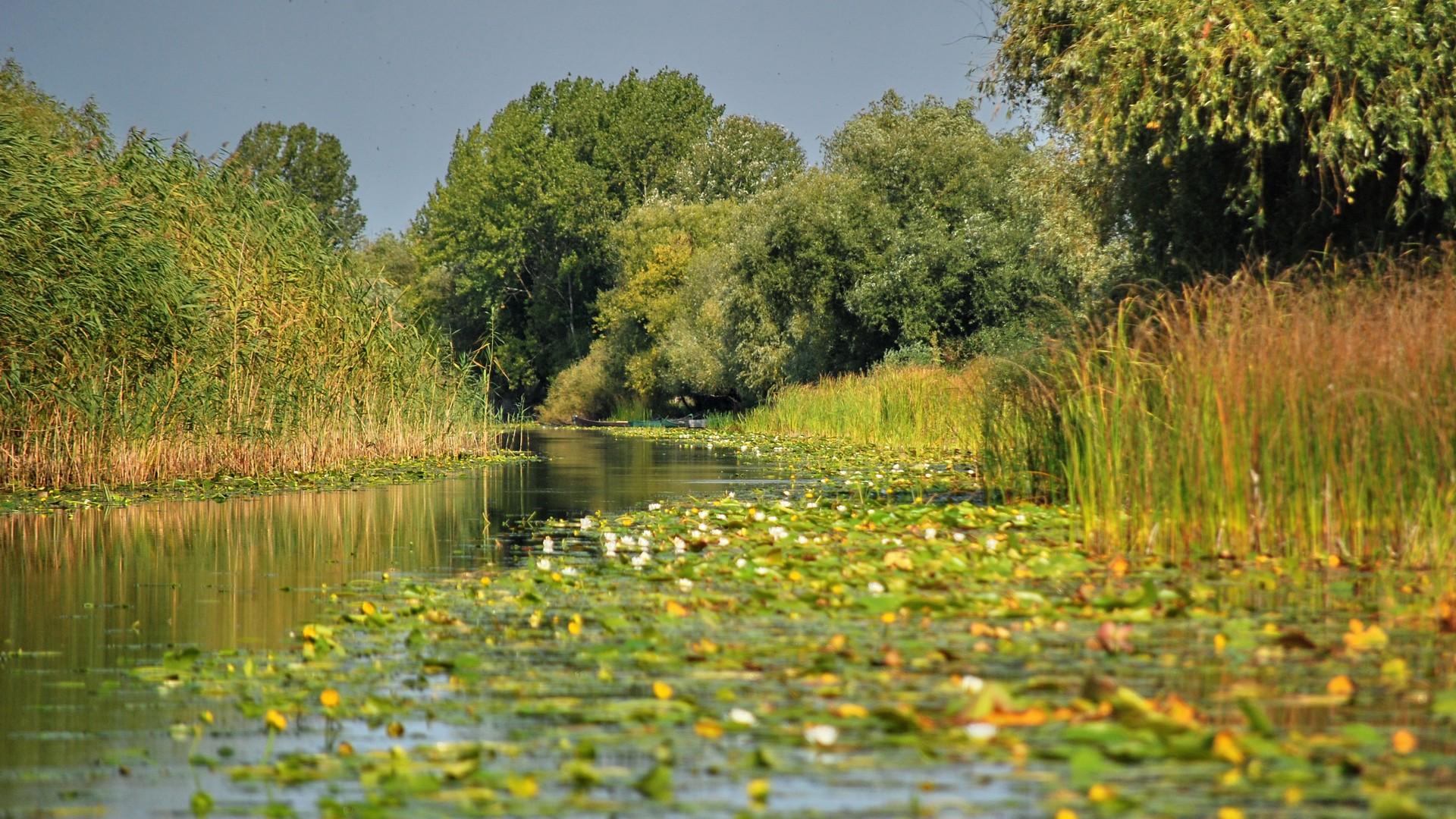 Canalul Dunării